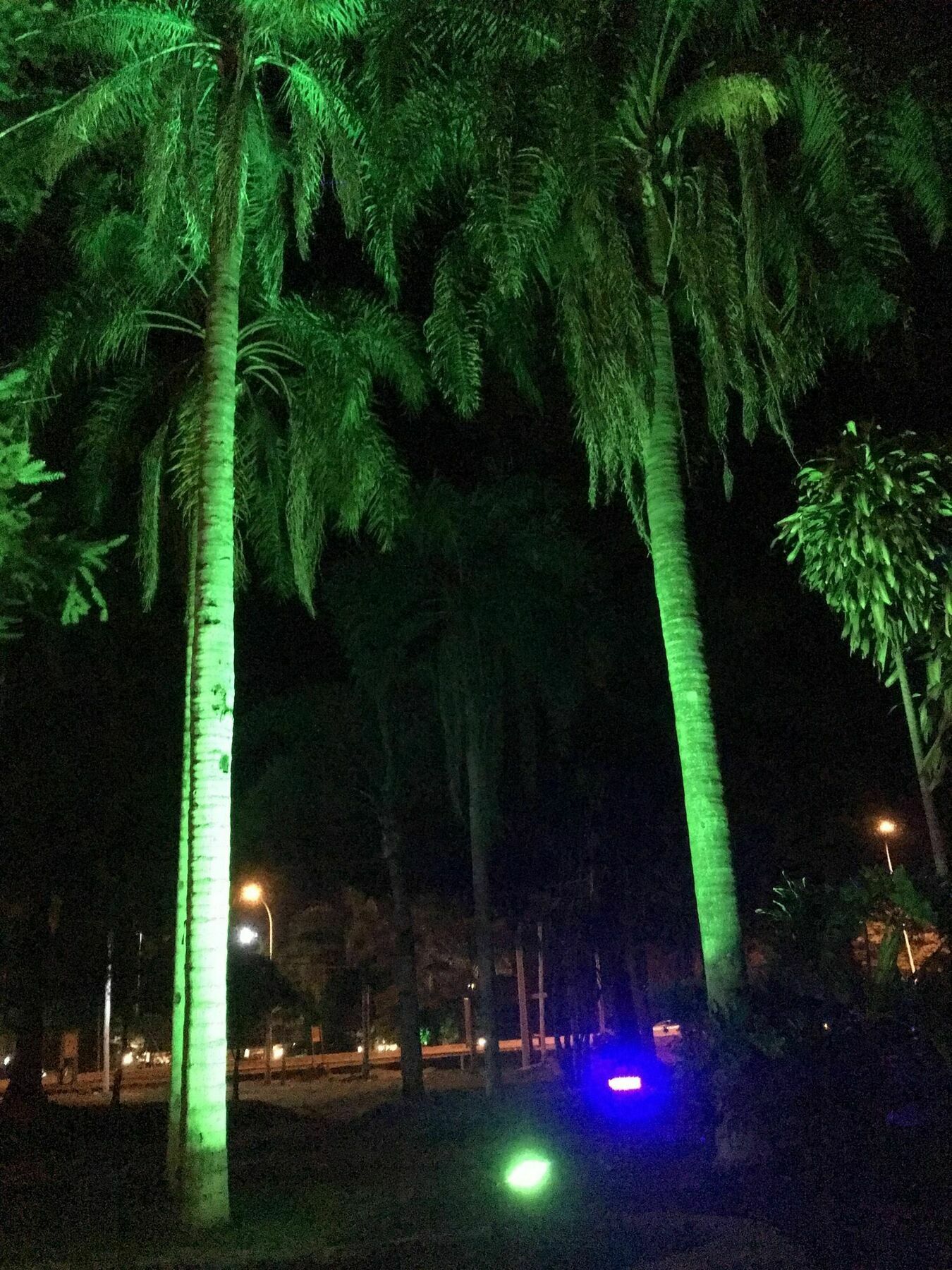 Tangoinn Club Iguazu Party Luxury Hostel Puerto Iguazú Exteriör bild